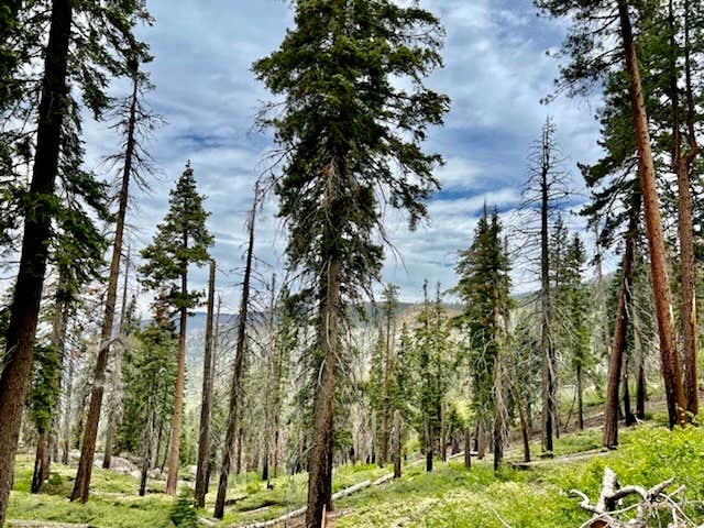 Camper-submitted photo at Horse Meadow Campground near Sequoia National Forest