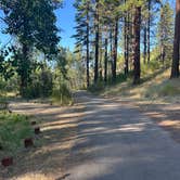 Review photo of Howards Gulch Campground by Joshcfi , August 11, 2026