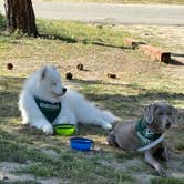 Review photo of Hurkey Creek Park by Bryan P., May 24, 2025