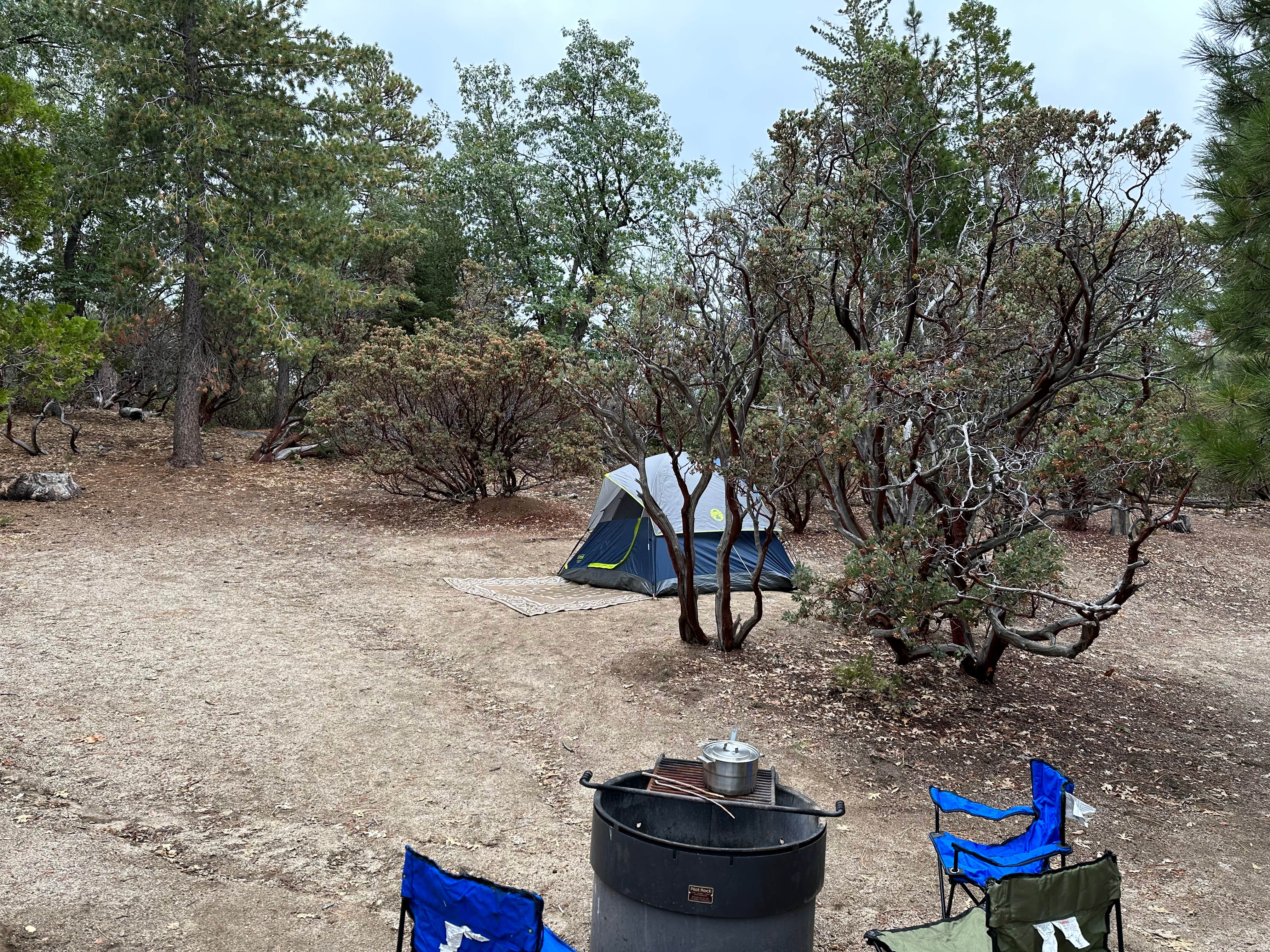 Christian M.'s photo at Idyllwild Campground — Mount San Jacinto State Park near Mountain Center, CA