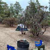 Review photo of Idyllwild Campground by Christian M., November 29, 2023