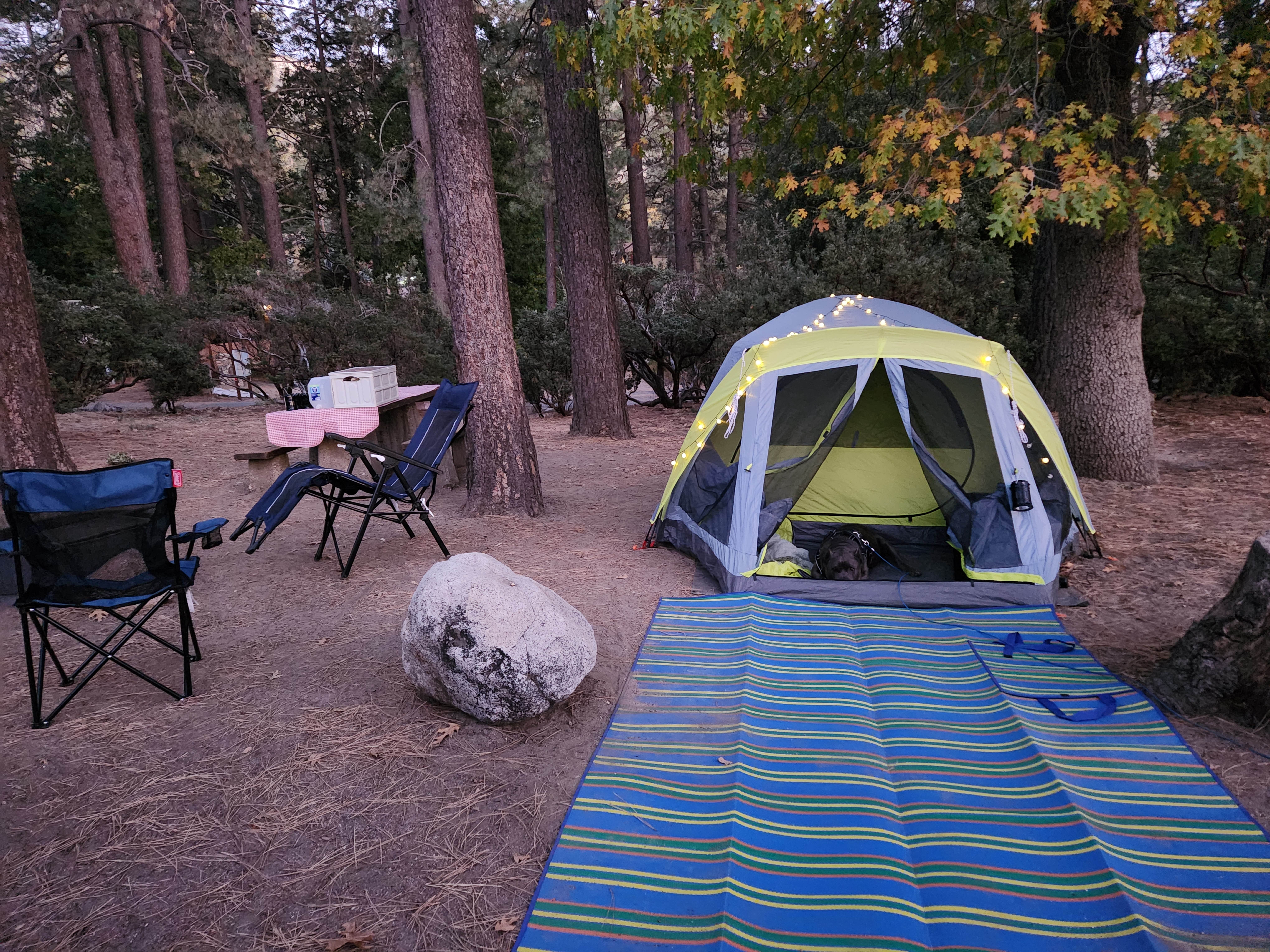 OldskoolEG6 X.'s photo at Idyllwild Campground — Mount San Jacinto State Park near Anza, CA