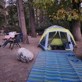 Review photo of Idyllwild Campground by OldskoolEG6 X., November 3, 2023