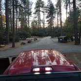 Review photo of Idyllwild Campground — Mount San Jacinto State Park by OldskoolEG6 X., November 3, 2023