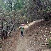 Review photo of Idyllwild Campground — Mount San Jacinto State Park by Christian M., November 29, 2023