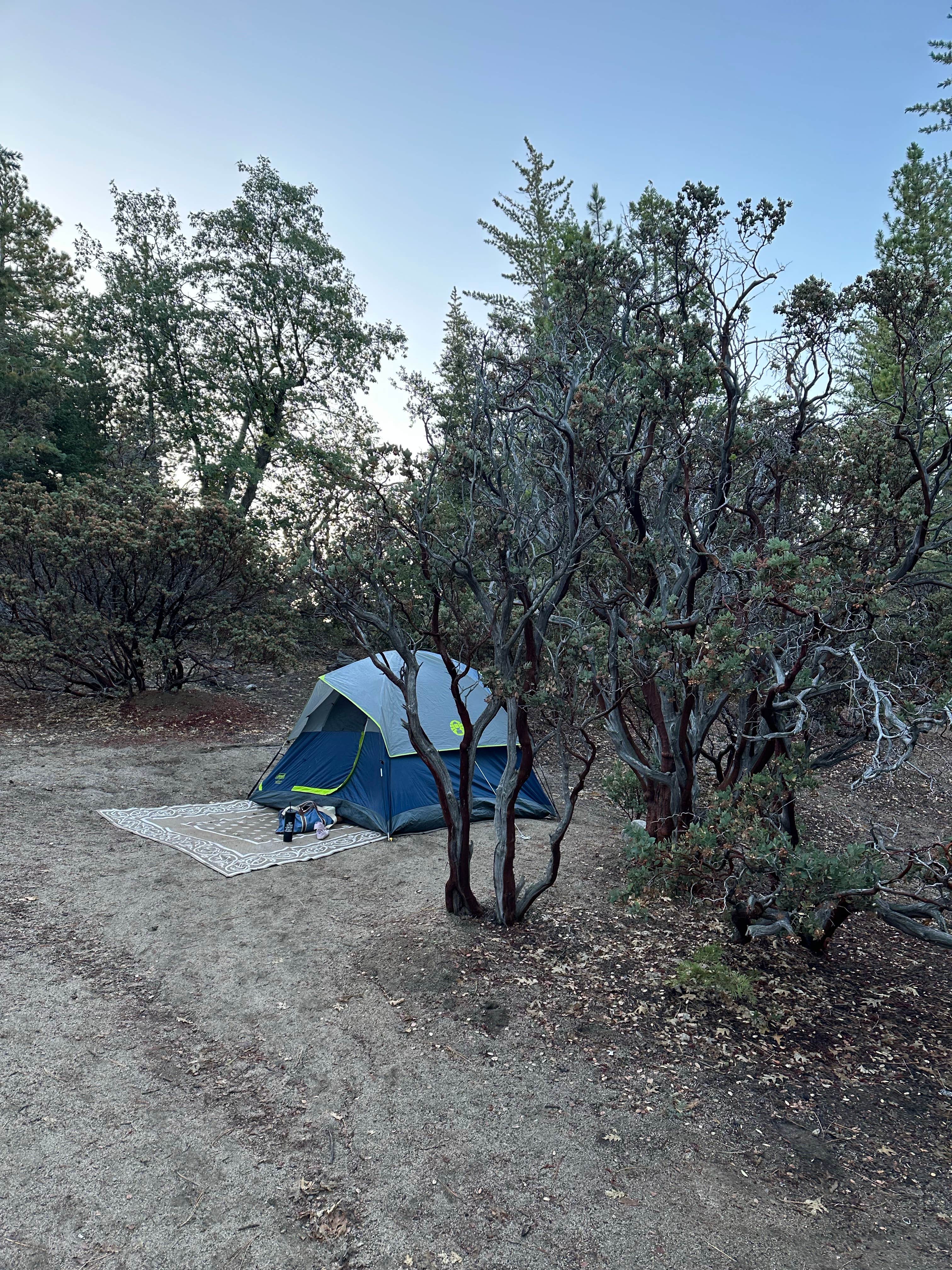 Christian M.'s photo at Idyllwild Campground — Mount San Jacinto State Park near Mountain Center, CA