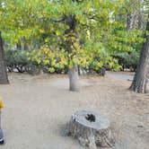 Review photo of Idyllwild Campground by OldskoolEG6 X., November 3, 2023