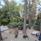 Review photo of Idyllwild Campground by OldskoolEG6 X., November 3, 2023