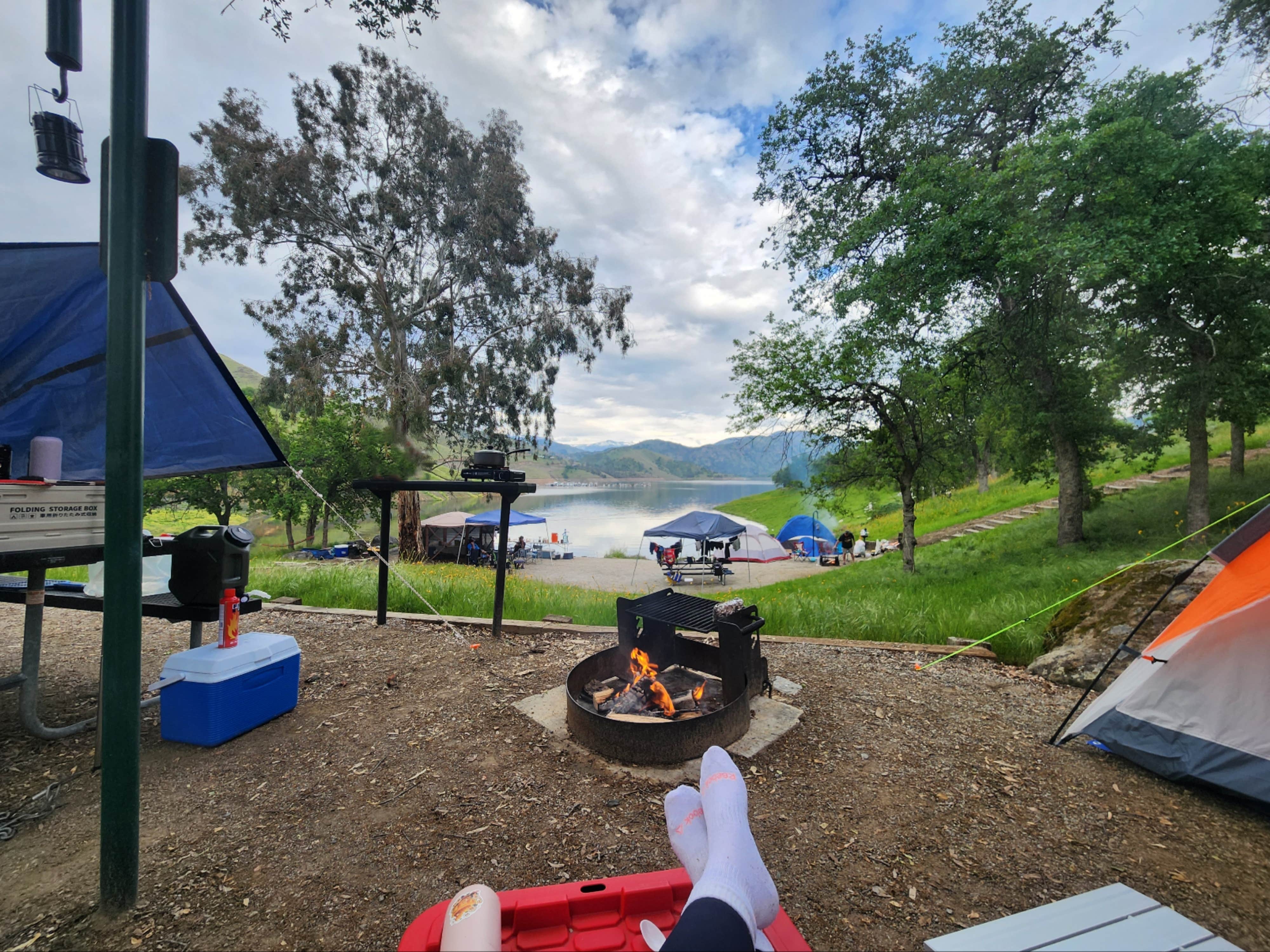 Camper-submitted photo at Island Park near Reedley, CA