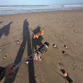 Review photo of Jalama Beach County Park by accalia F., May 21, 2026
