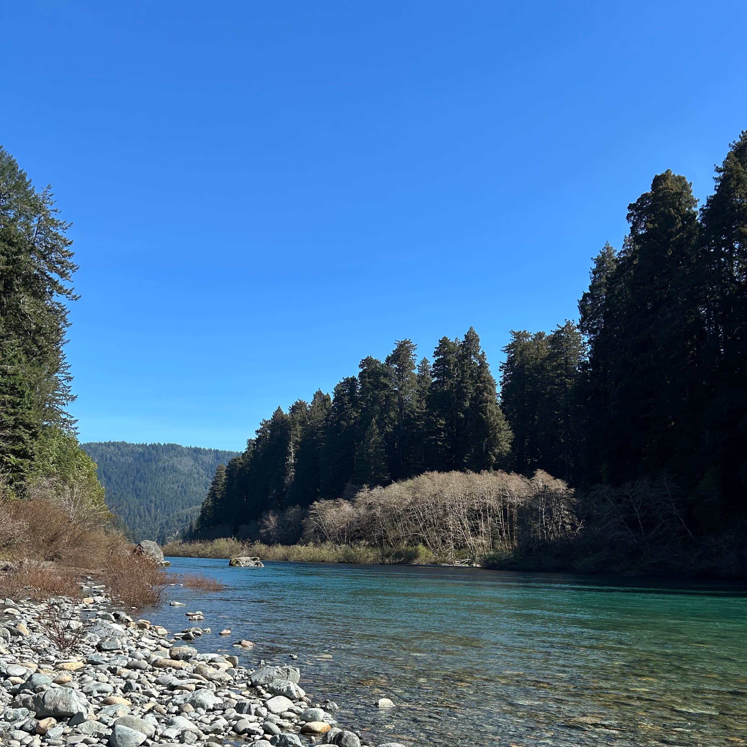 Jedidiah Smith Campground — Redwood National Park | Hiouchi, California