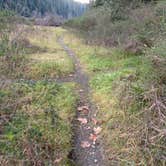 Review photo of Jedidiah Smith Campground — Redwood National Park by hap C., January 19, 2026