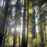 Review photo of Jedidiah Smith Campground — Redwood National Park by Bella H., March 27, 2024