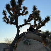 Review photo of Jumbo Rocks Campground — Joshua Tree National Park by Diane M., January 25, 2025