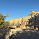 Review photo of Jumbo Rocks Campground — Joshua Tree National Park by Julie F., May 11, 2026