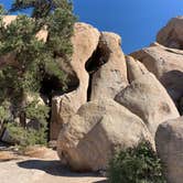 Review photo of Jumbo Rocks Campground — Joshua Tree National Park by Mimi N., June 17, 2024