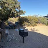 Review photo of Jumbo Rocks Campground — Joshua Tree National Park by Julie F., May 11, 2026