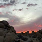 Review photo of Jumbo Rocks Campground — Joshua Tree National Park by Diane M., January 25, 2025