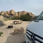 Review photo of Jumbo Rocks Campground — Joshua Tree National Park by Teresa A., January 29, 2026