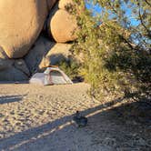 Review photo of Jumbo Rocks Campground — Joshua Tree National Park by Christian V., June 29, 2024