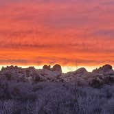 Review photo of Jumbo Rocks Campground — Joshua Tree National Park by Ursula , February 13, 2026