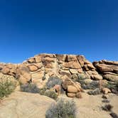 Review photo of Jumbo Rocks Campground — Joshua Tree National Park by Luc R., July 20, 2025