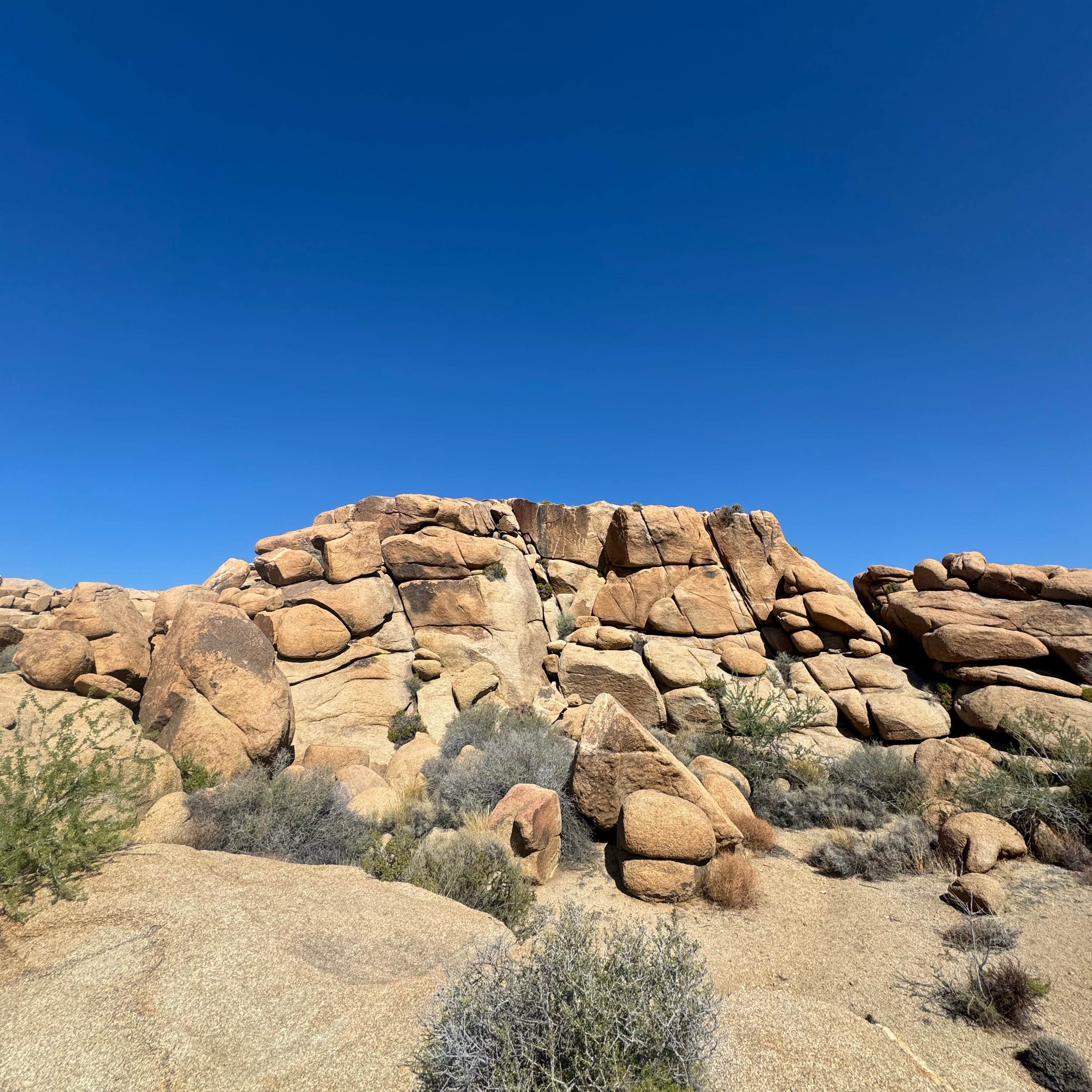Jumbo Rocks Campground — Joshua Tree National Park | Twentynine Palms ...