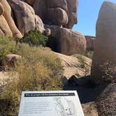 Review photo of Jumbo Rocks Campground — Joshua Tree National Park by Mimi N., June 17, 2024