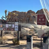 Review photo of Jumbo Rocks Campground — Joshua Tree National Park by Jennifer H., January 12, 2024