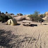 Review photo of Jumbo Rocks Campground — Joshua Tree National Park by Luc R., July 20, 2025
