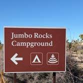 Review photo of Jumbo Rocks Campground — Joshua Tree National Park by Diane M., January 25, 2025