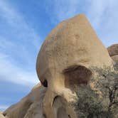 Review photo of Jumbo Rocks Campground — Joshua Tree National Park by Ursula , February 13, 2026