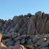 Review photo of Jumbo Rocks Campground — Joshua Tree National Park by Diane M., January 25, 2025