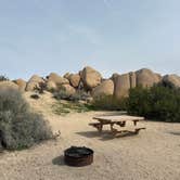 Review photo of Jumbo Rocks Campground — Joshua Tree National Park by Teresa A., January 29, 2026