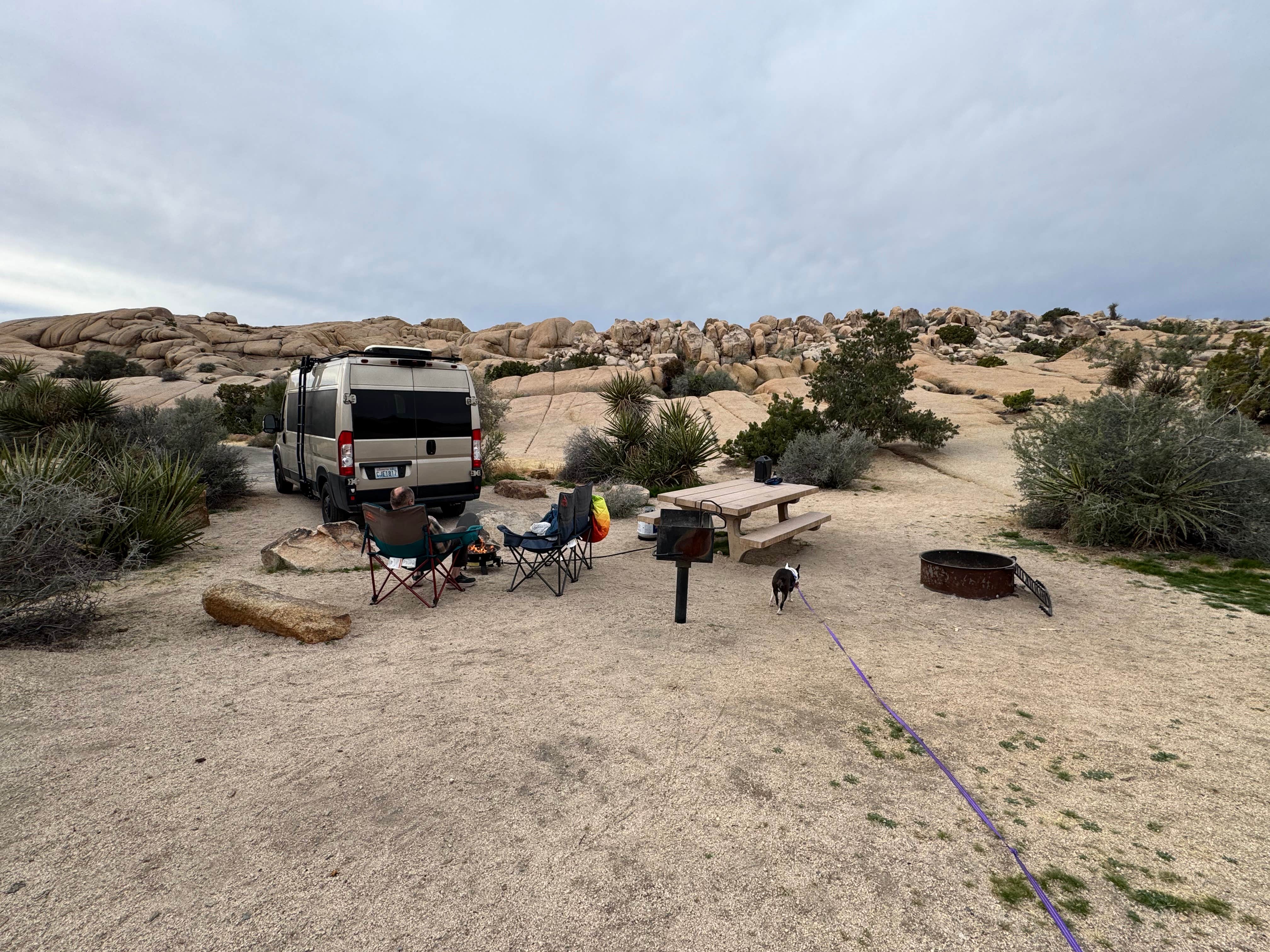 Andrea Q.'s photo of camping with pets at Jumbo Rocks Campground — Joshua Tree National Park near Indio, CA