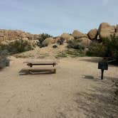 Review photo of Jumbo Rocks Campground — Joshua Tree National Park by Teresa A., January 29, 2026