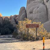 Review photo of Jumbo Rocks Campground — Joshua Tree National Park by Jennifer H., January 12, 2024