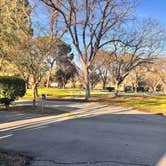 Review photo of Kern River County Park by Mitch H., January 10, 2026