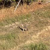 Review photo of Laguna Seca Recreation Area by Grant M., June 20, 2026