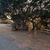 Review photo of Laguna Seca Recreation Area by Korey Y., August 23, 2024