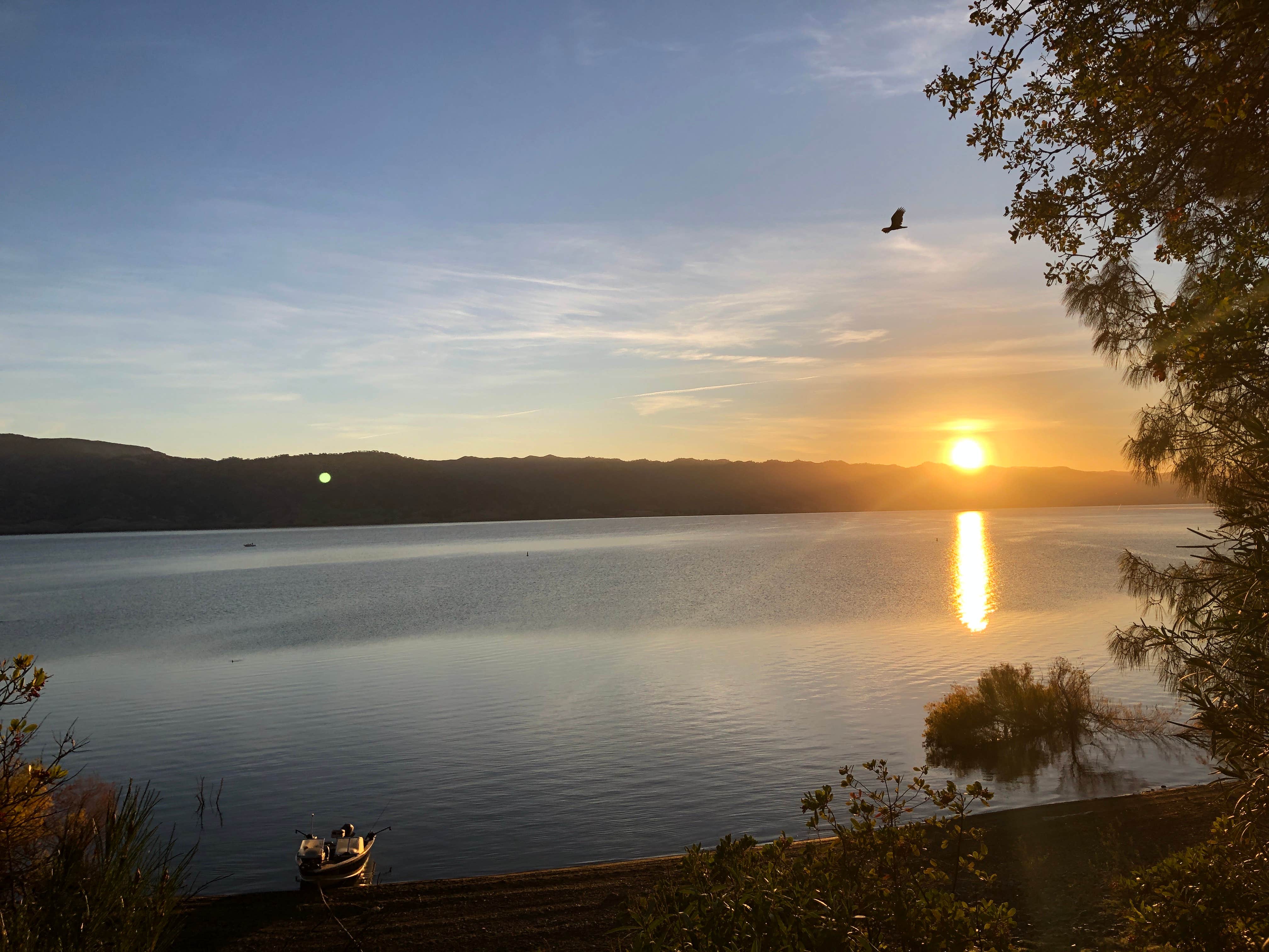 Camper-submitted photo at Putah Canyon - Lake Berryessa USBR near Dixon, CA