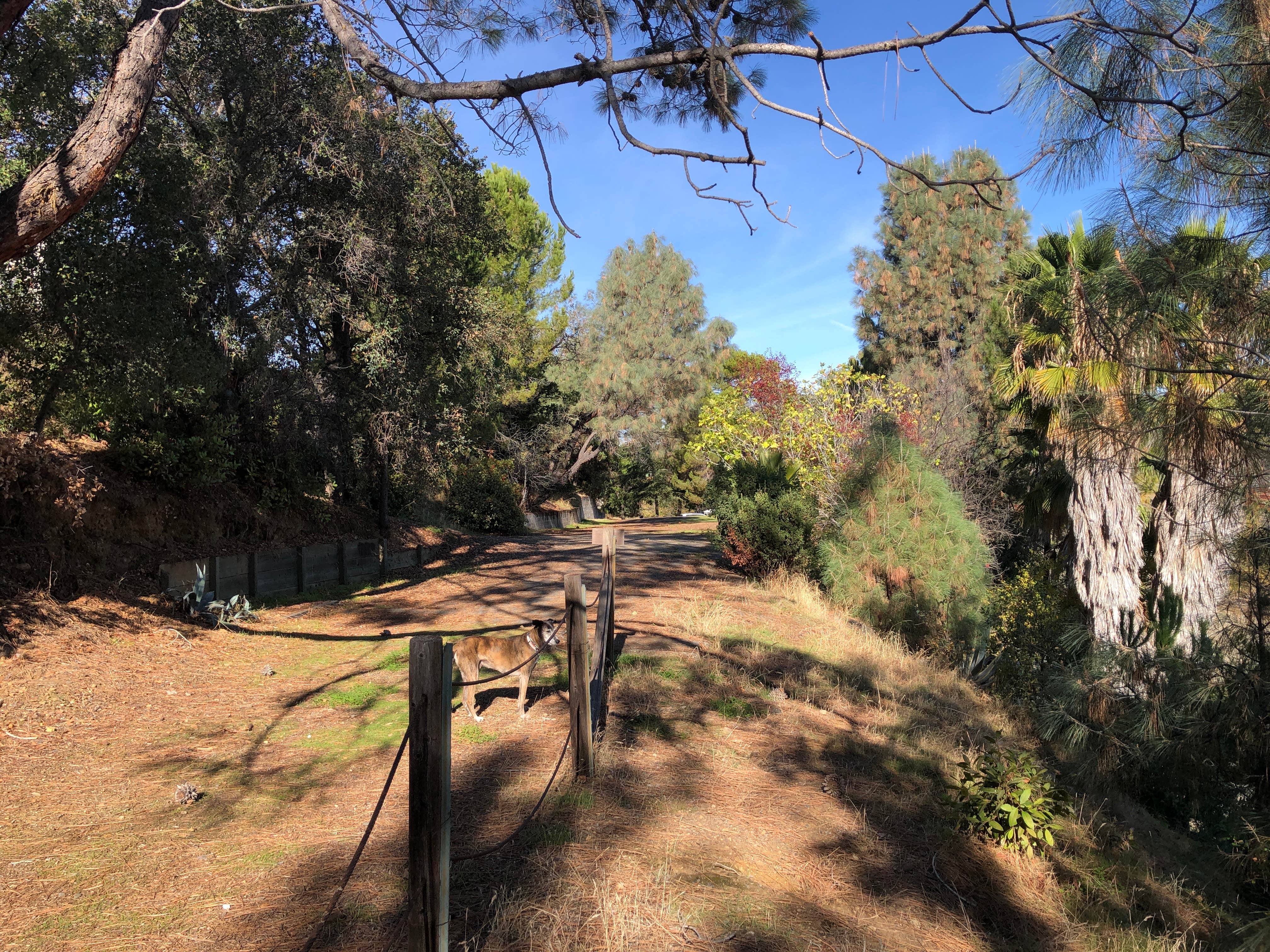 Camper submitted image from Putah Canyon - Lake Berryessa USBR - 2