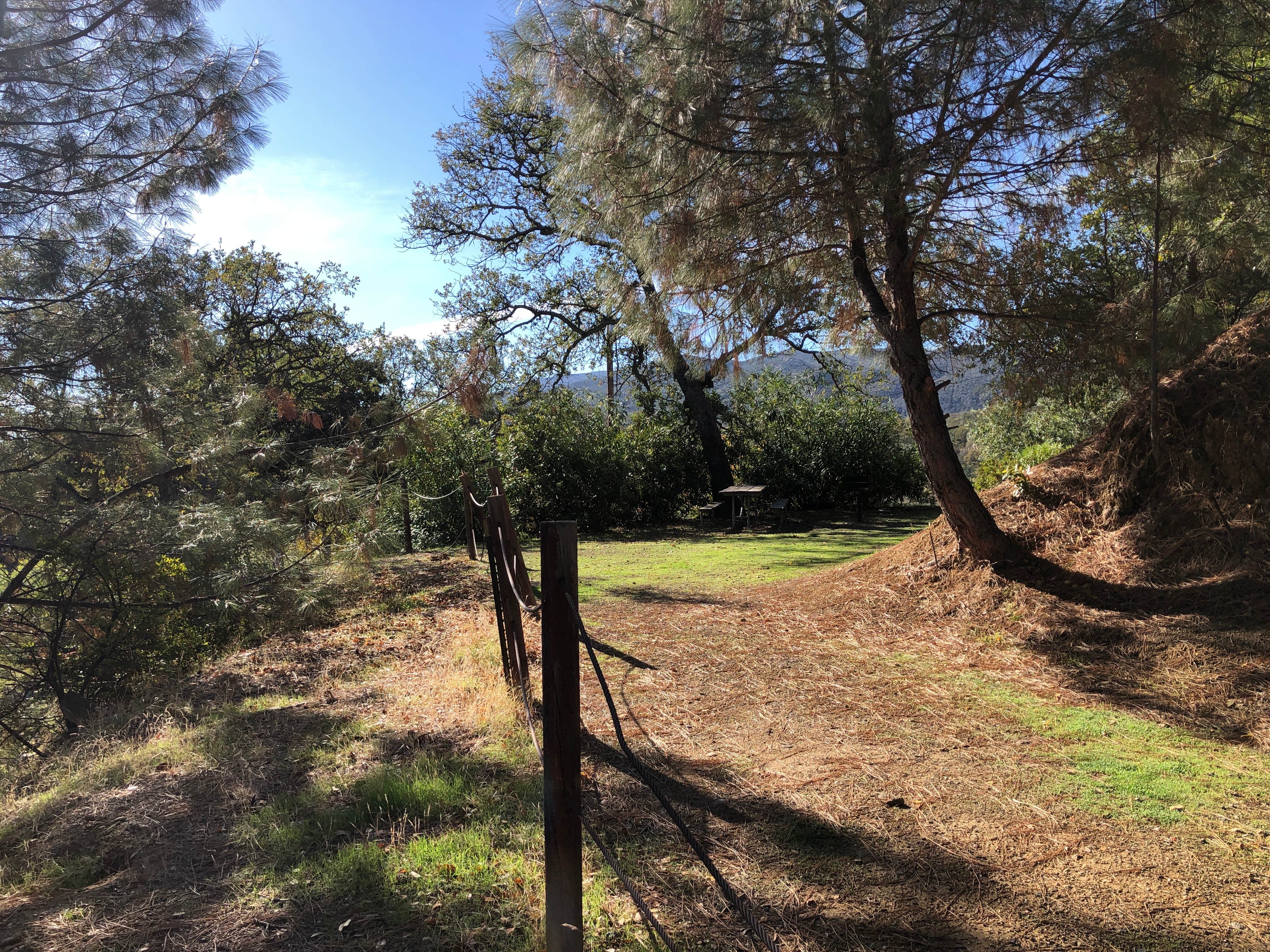 Camper submitted image from Putah Canyon - Lake Berryessa USBR - 1