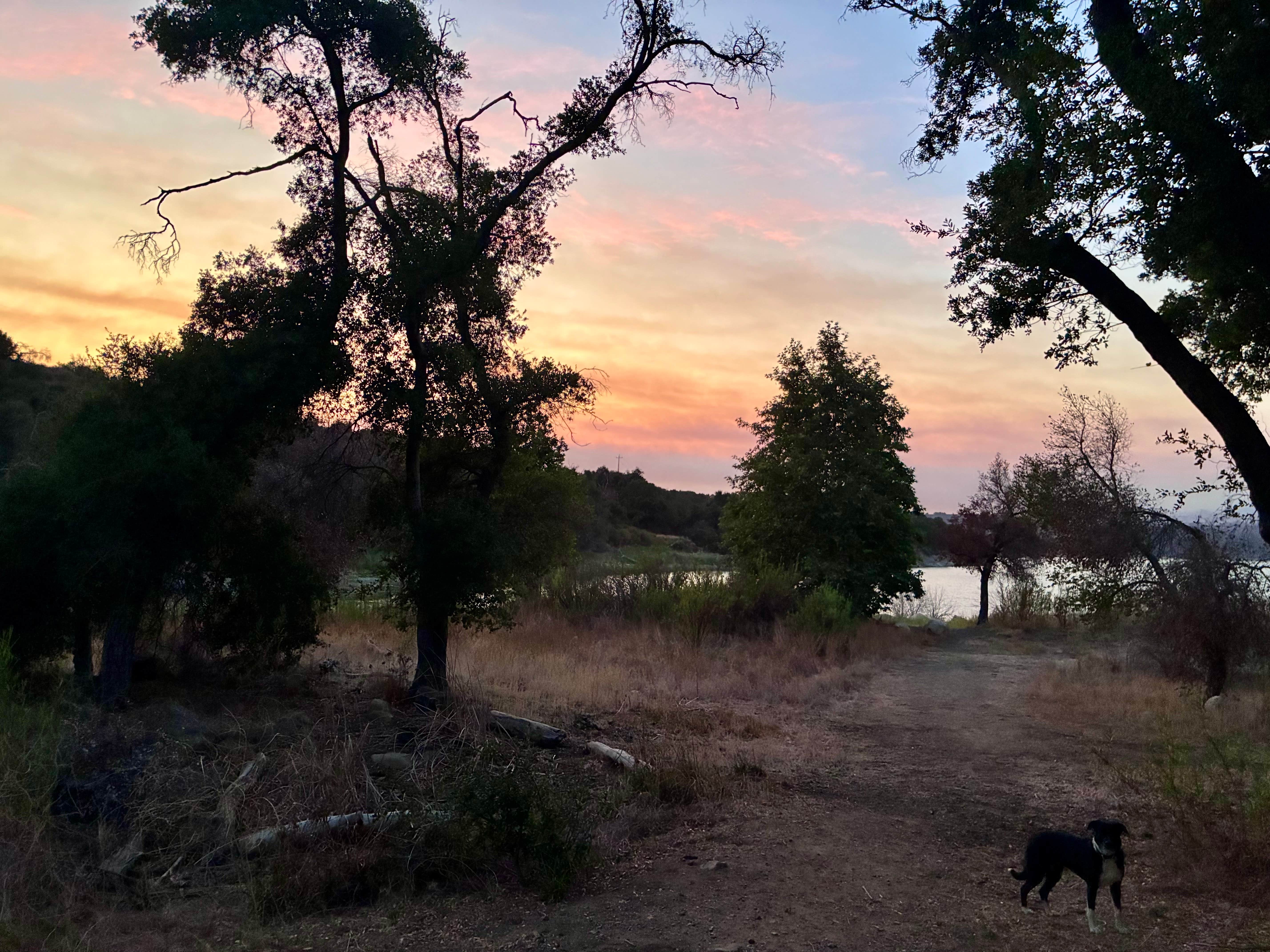 Jaclyn L.'s photo of camping with pets at Cachuma Lake Recreation Area near Solvang, CA