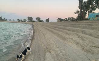 Beverley G.'s photo of camping with pets at Lake Cahuilla near Rancho Mirage, CA