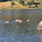 Review photo of Lake Cuyamaca Recreation and Park District by Christopher J., August 8, 2026