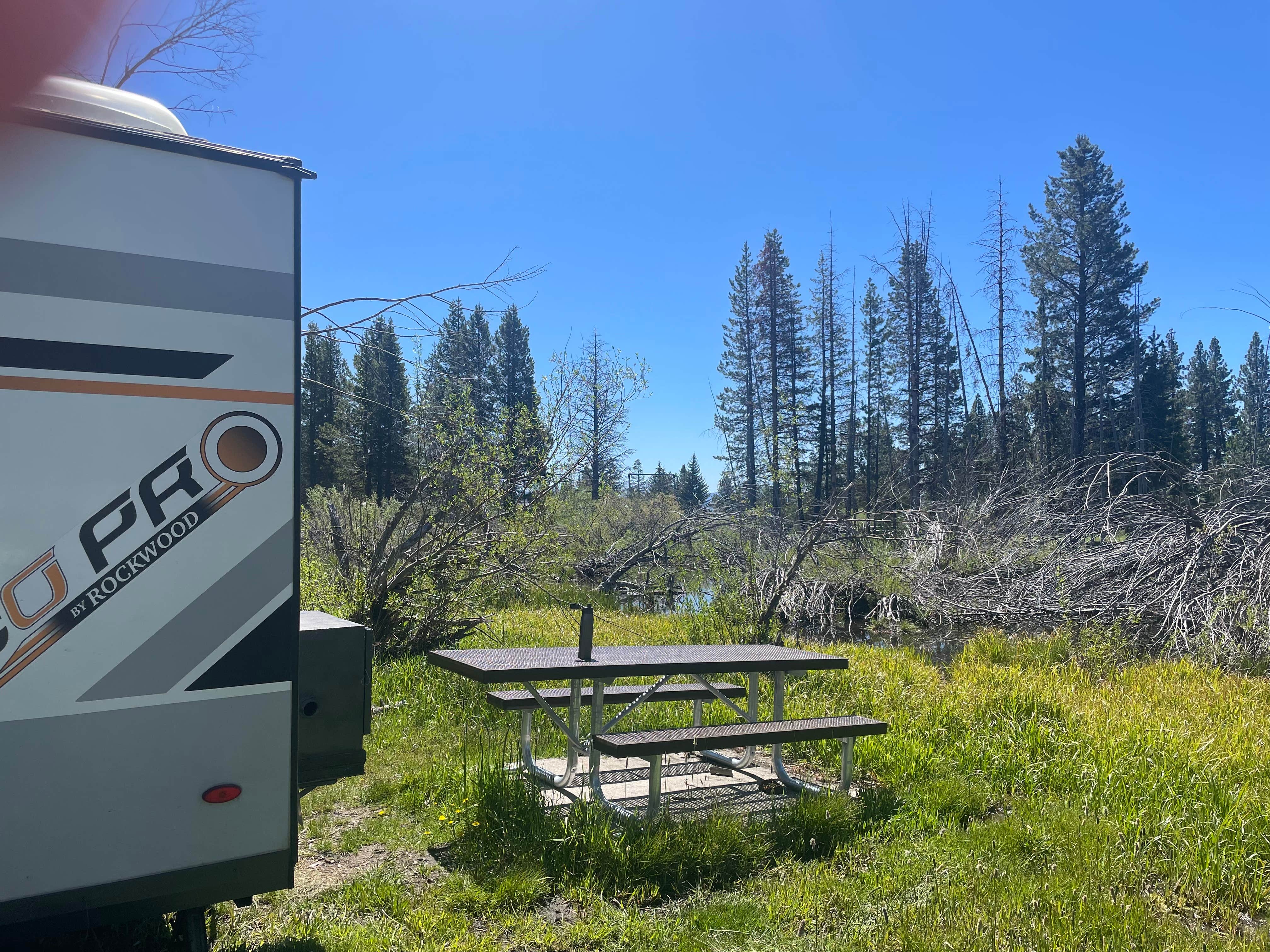 Camper-submitted photo at Lake Forest Campground near Carson City, NV