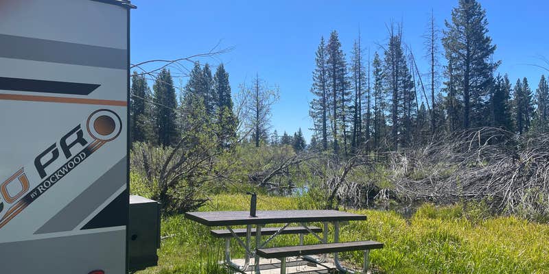 Camper submitted image from Lake Forest Campground