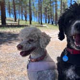 Review photo of Lake George Campground by alice N., July 2, 2026