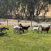 Review photo of Lake Solano County Park by Paula S., July 30, 2026